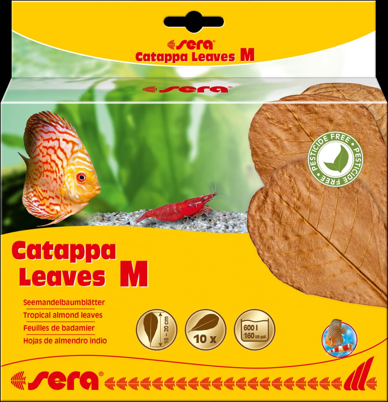Sera Catappa lišće M 16-20cm 10kom