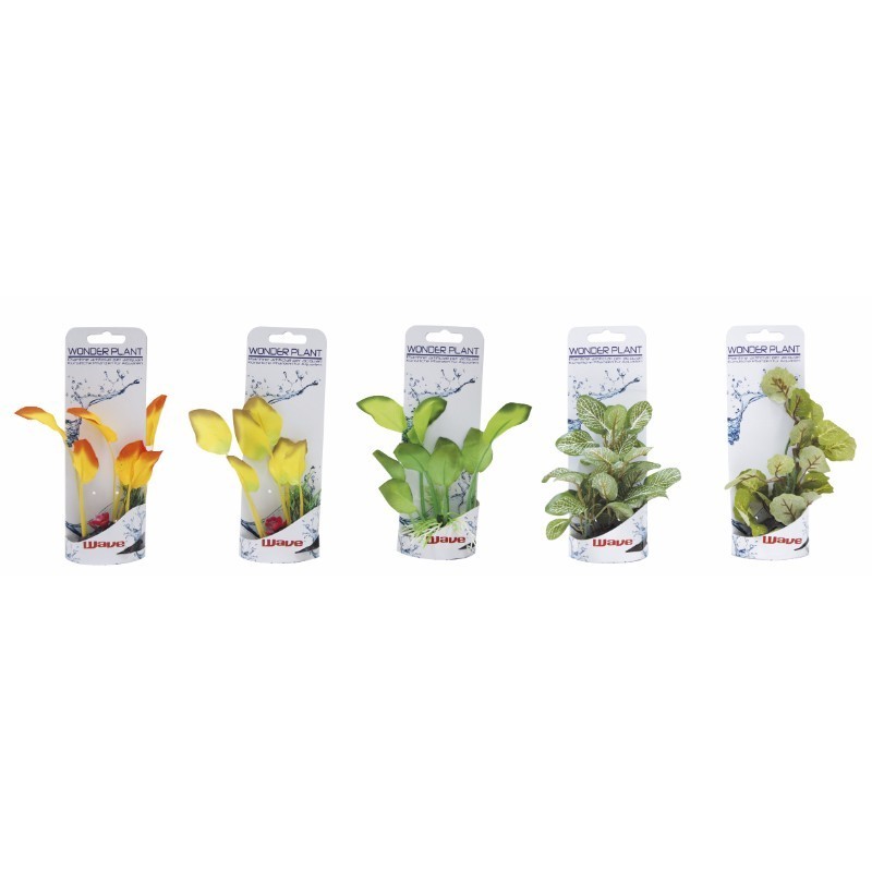 Plastično Bilje Wonder plant A 12-13cm