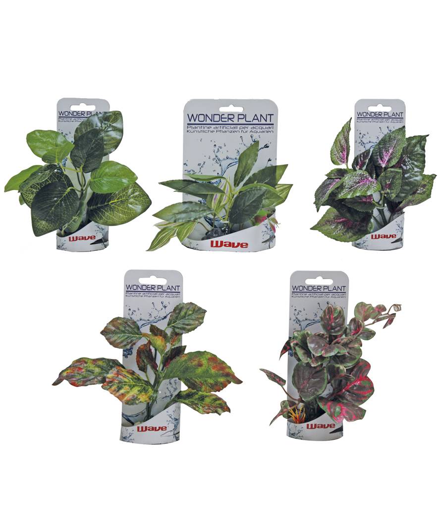 Plastično Bilje Wonder plant B 15-18cm