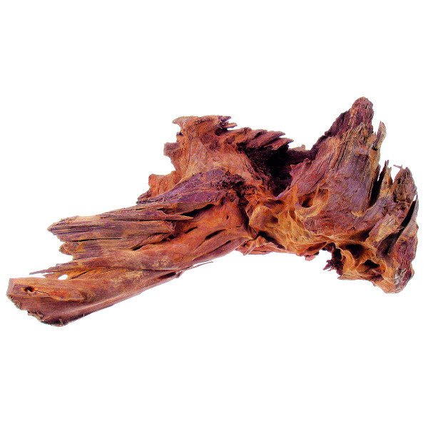 Drvo Mangrovia MD 25-35cm Tatrapet